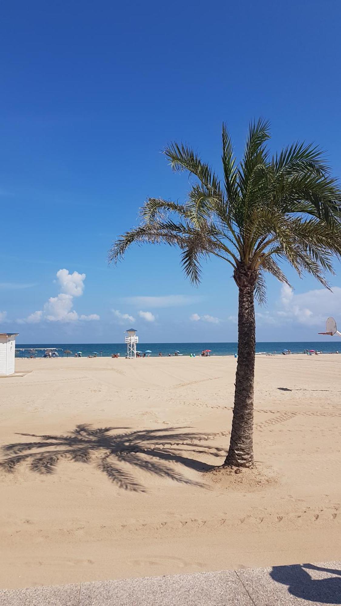 Hola Gandia Apartment Ngoại thất bức ảnh